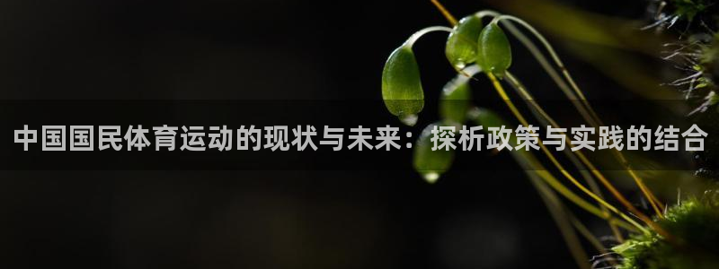 速播体育网：中国国民体育运动的现状与未来：探析政策与实践的结合