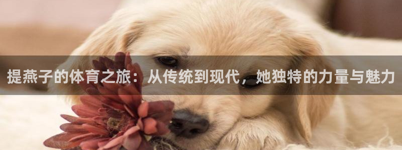 速播体育直播：提燕子的体育之旅：从传统到现代，她独特的力量与魅力