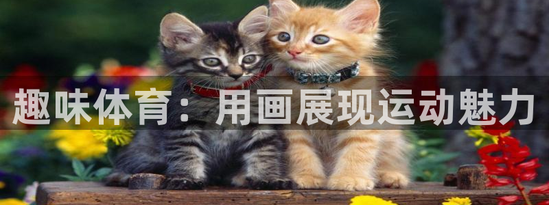 速播体育直播：趣味体育：用画展现运动魅力