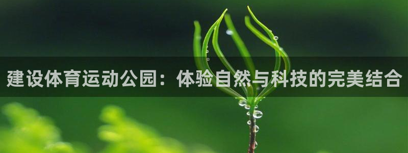 速播体育直播：建设体育运动公园：体验自然与科技的完美结合