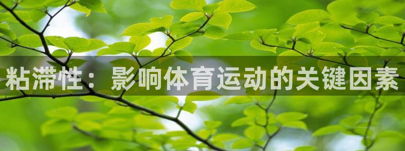 速播体育直播：粘滞性：影响体育运动的关键因素