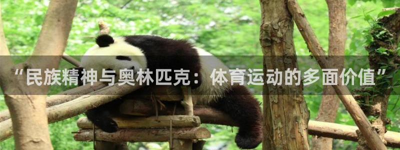 速播体育网：“民族精神与奥林匹克：体育运动的多面价值”