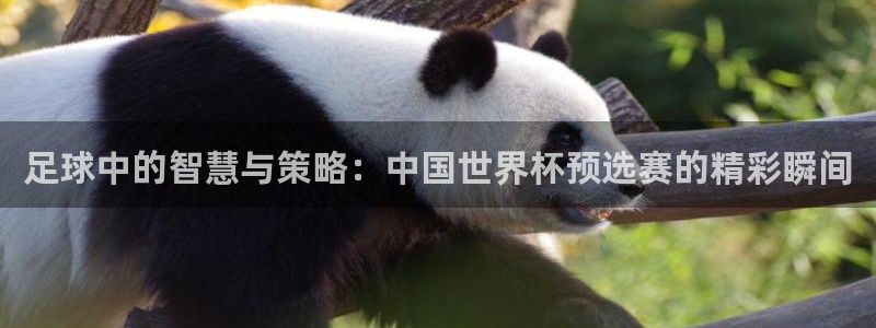 速播体育网：足球中的智慧与策略：中国世界杯预选赛的精彩瞬间