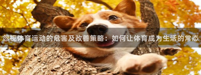 速播体育直播：忽视体育运动的危害及改善策略：如何让体育成为生活的常态